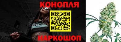 СК Моздок