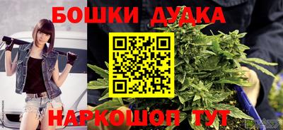 СК Моздок