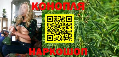 СК Моздок